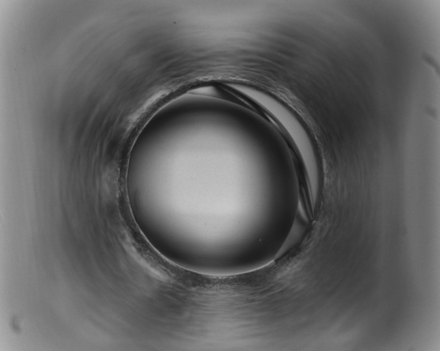 X0000099480530200805161137