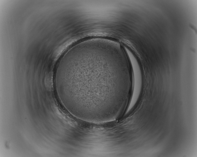 X0000099480531200805161137