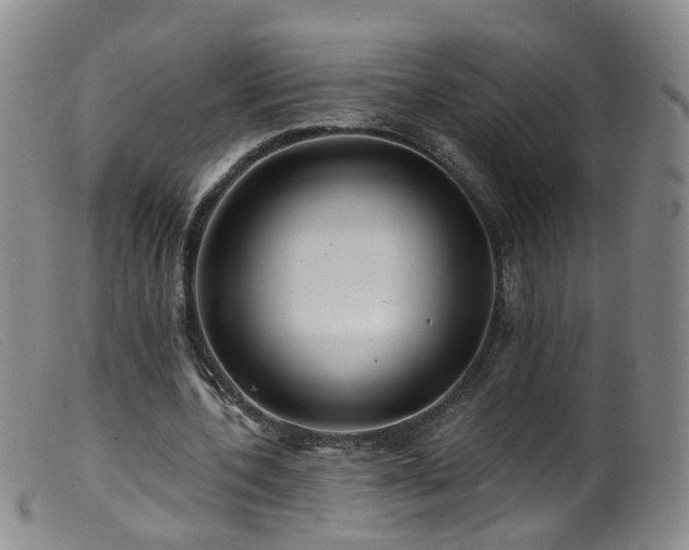 X0000099480532200805161137