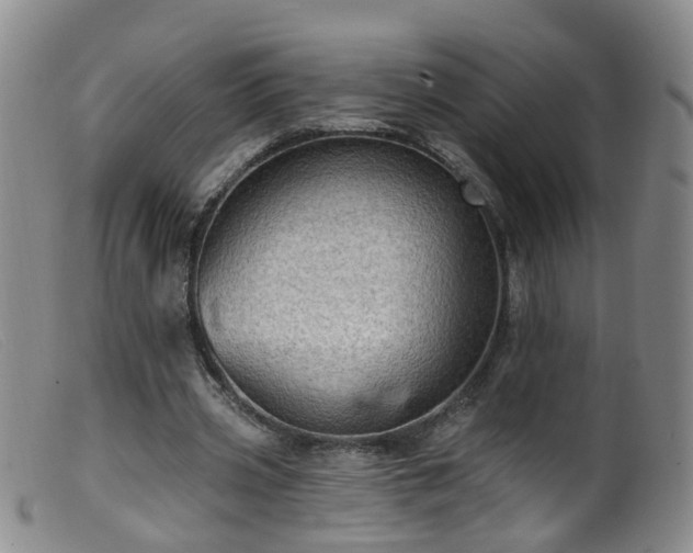 X0000099480533200805161137