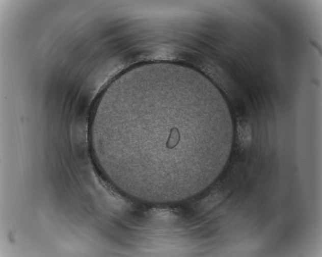 X0000099480534200805161137