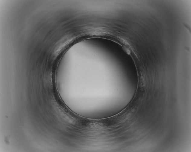X0000099480535200805161137