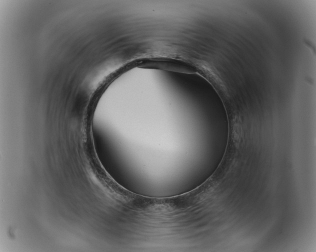 X0000099480536200805161137