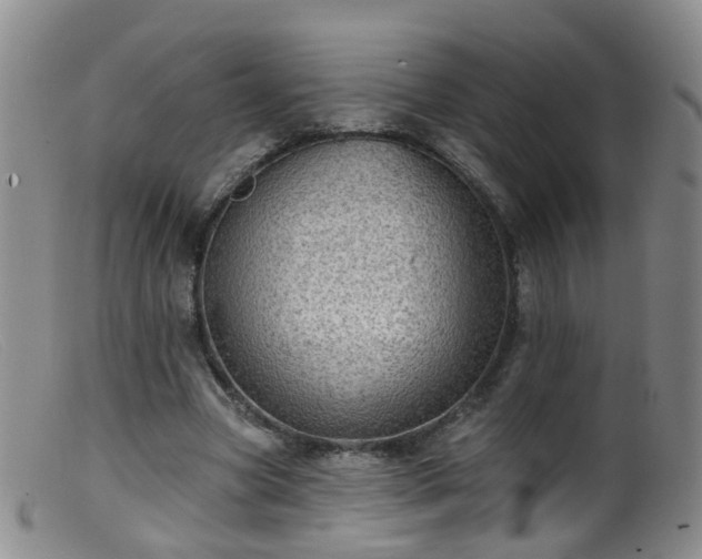 X0000099480537200805161137