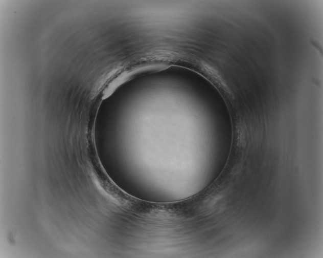 X0000099480538200805161137