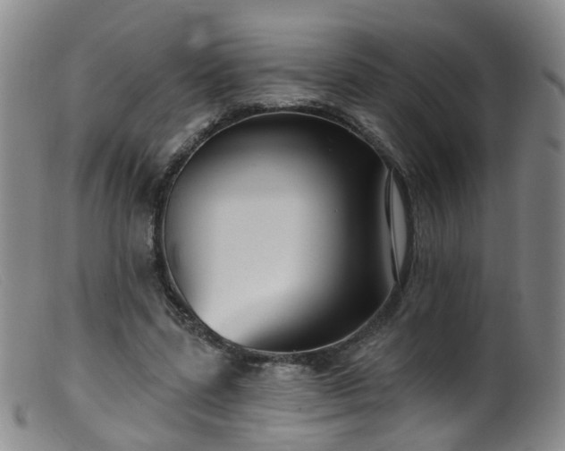 X0000099480539200805161137