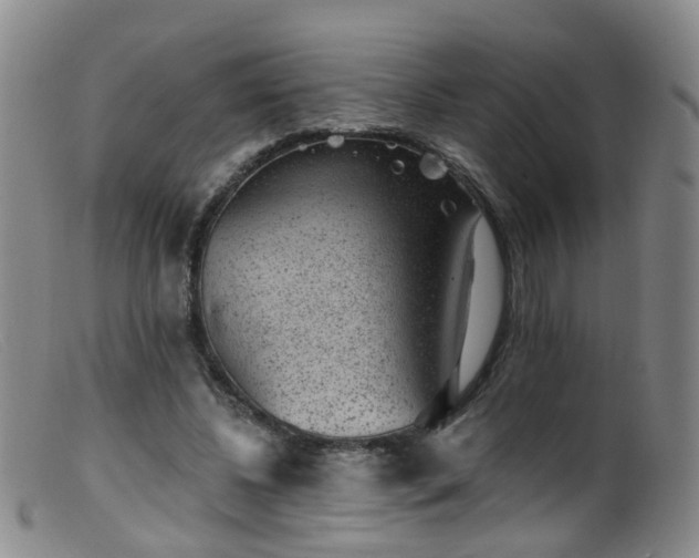 X0000099480540200805161137