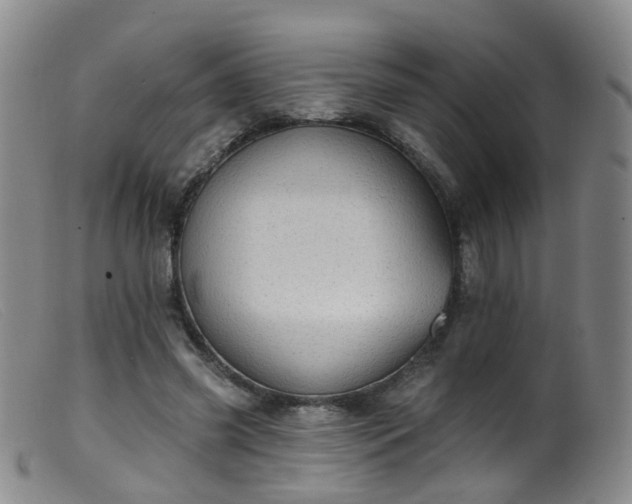X0000099480541200805161137