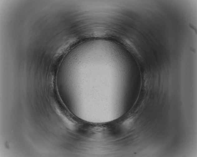 X0000099480542200805161137