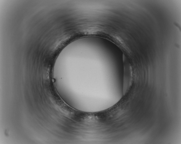 X0000099480543200805161137