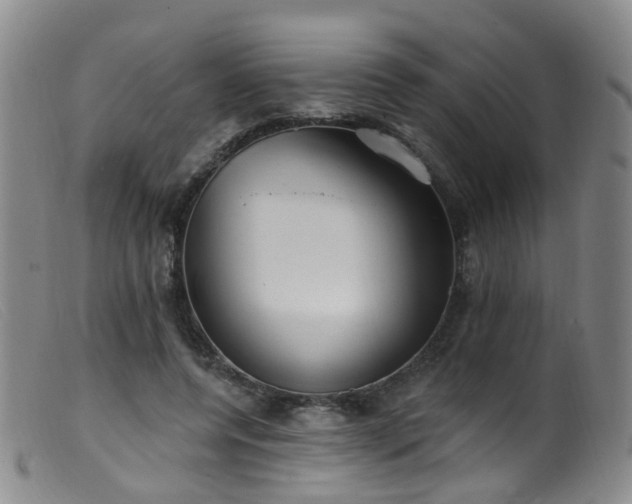 X0000099480544200805161137