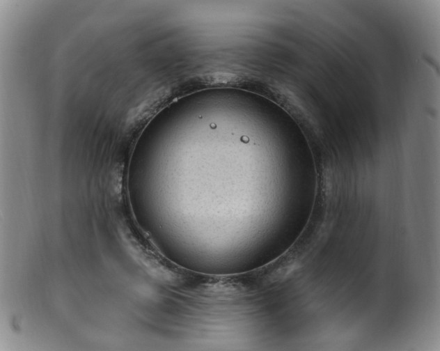 X0000099480545200805161137