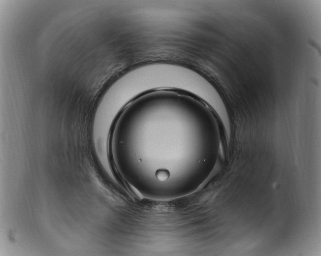 X0000099480546200805161137