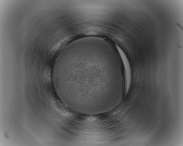 X0000099480547200805161137