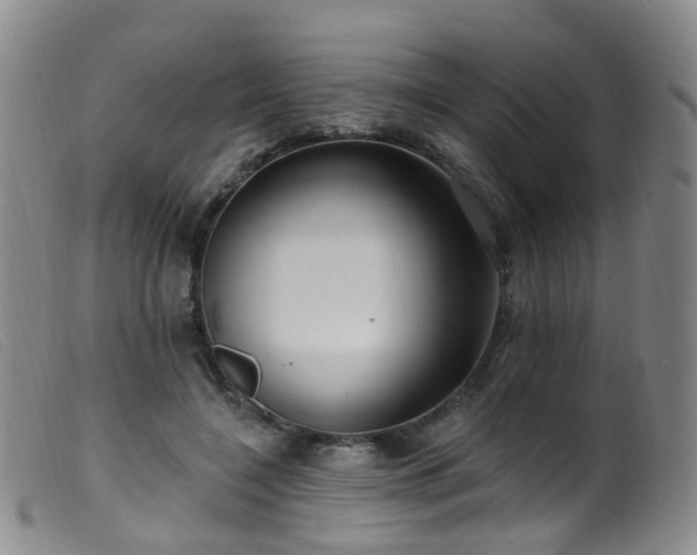 X0000099480548200805161137