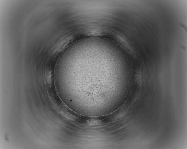 X0000099480549200805161137
