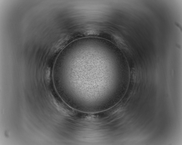 X0000099480550200805161137