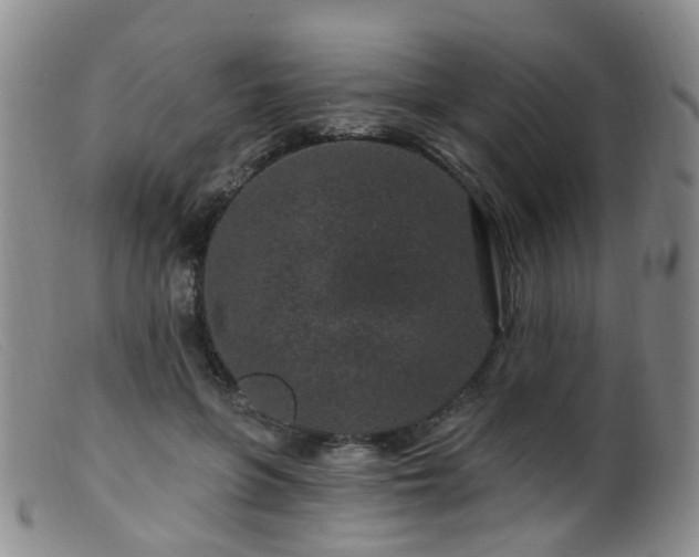 X0000099480551200805161137