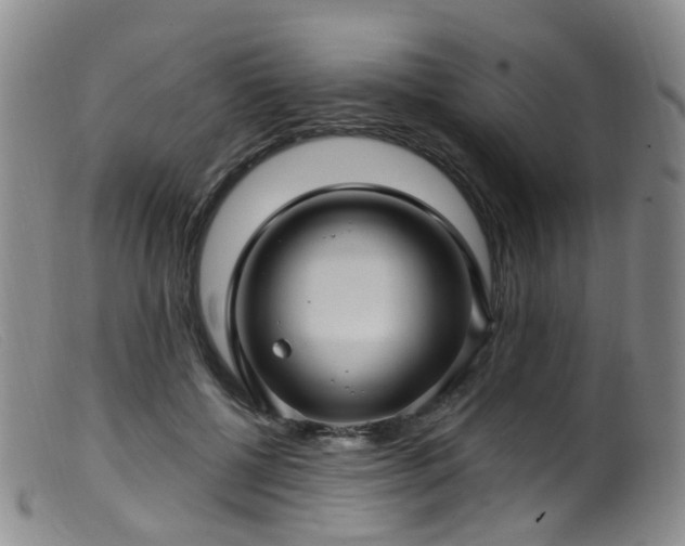 X0000099480552200805161137