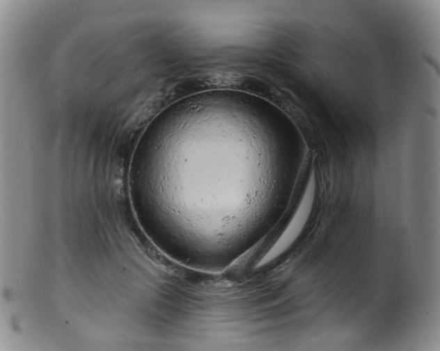 X0000099480553200805161137