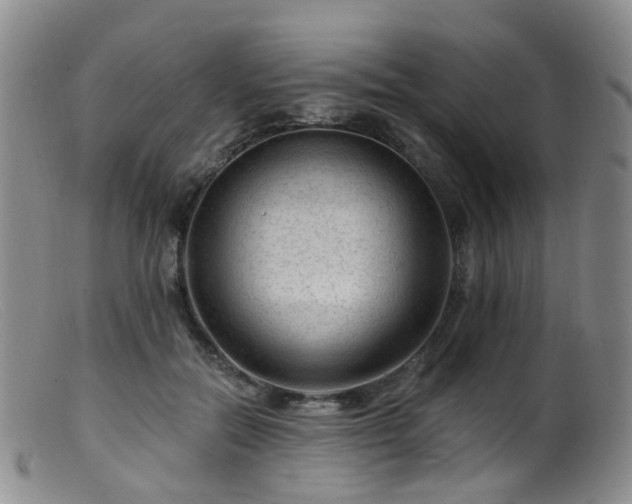 X0000099480554200805161137