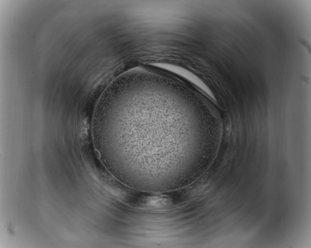 X0000099480555200805161137