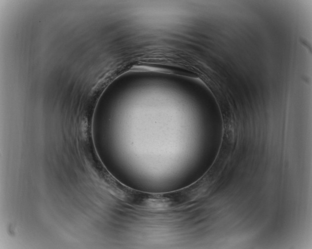X0000099480556200805161137