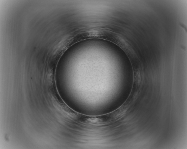 X0000099480557200805161137