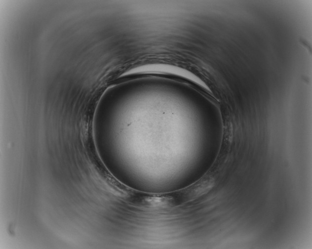 X0000099480558200805161137