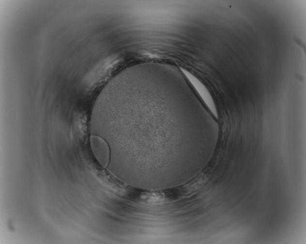 X0000099480559200805161137