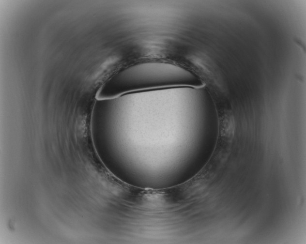 X0000099480560200805161137