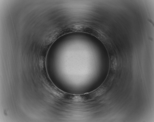 X0000099480562200805161137