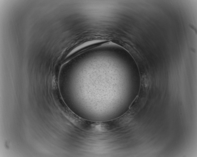 X0000099480564200805161137