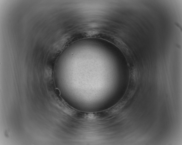 X0000099480565200805161137