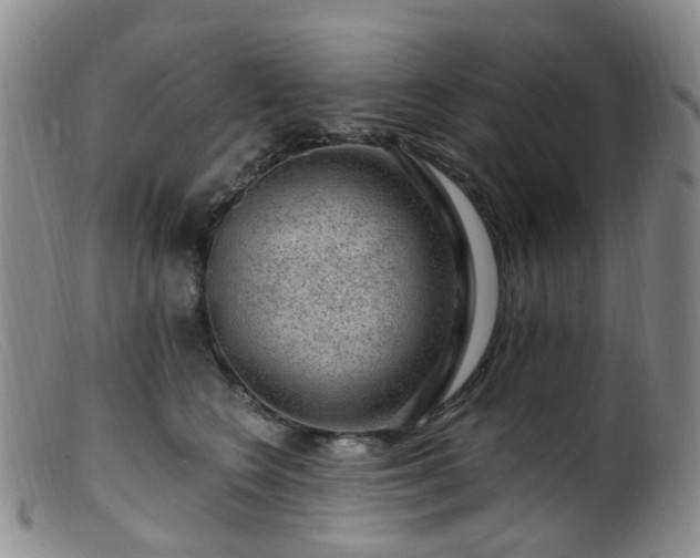 X0000099480566200805161137