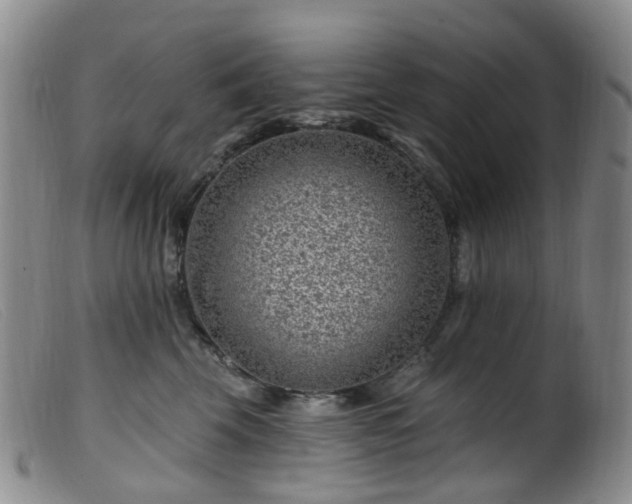X0000099480569200805161138