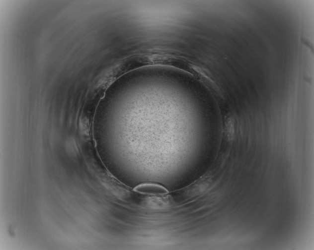X0000099480571200805161138