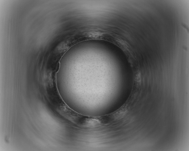 X0000099480572200805161138