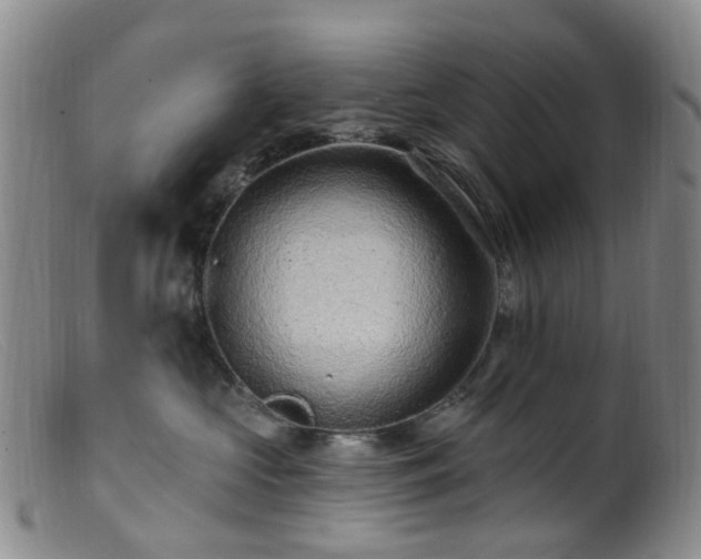 X0000099480573200805161138