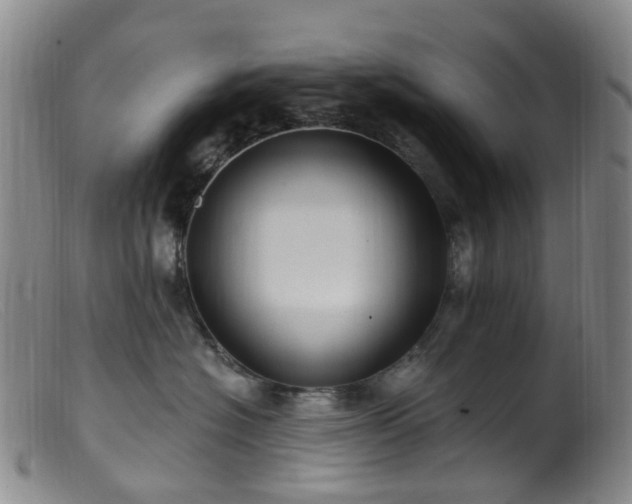 X0000099480574200805161138