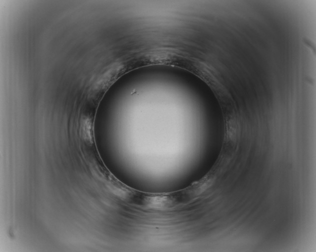 X0000099480575200805161138