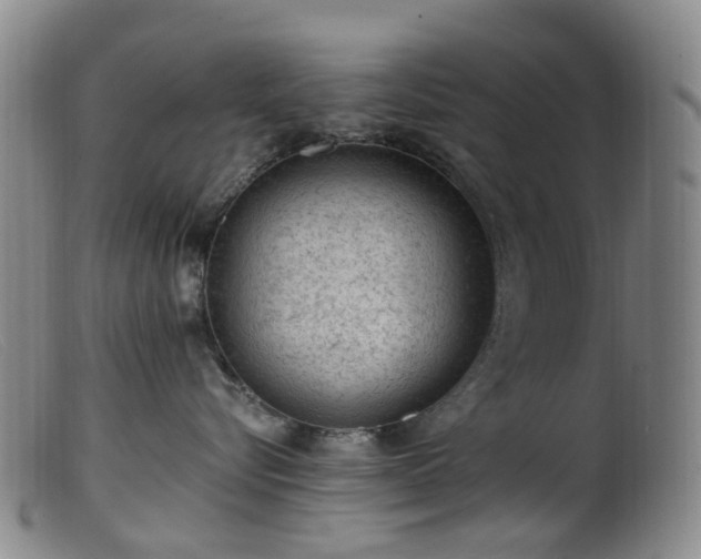 X0000099480576200805161138