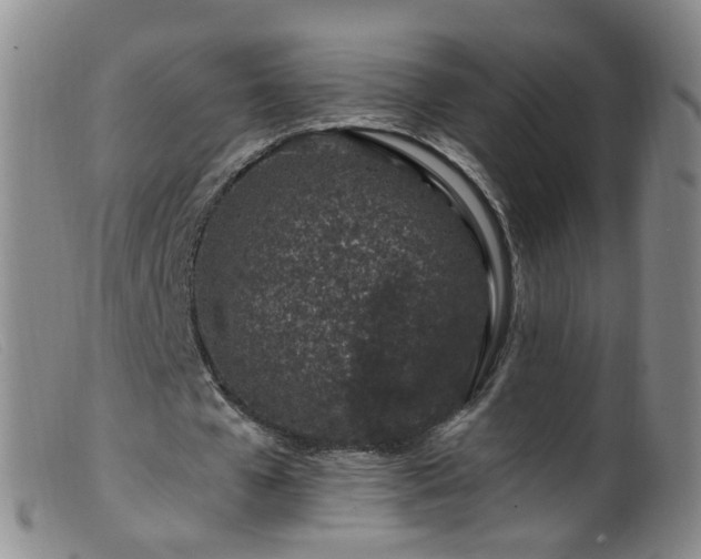 X0000099480577200805161137