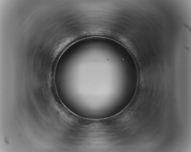 X0000099480578200805161137