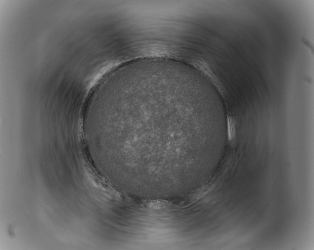 X0000099480579200805161137