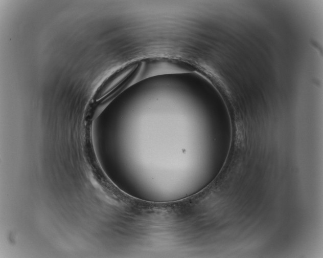 X0000099480580200805161137