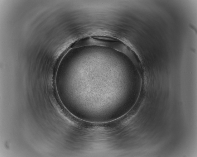 X0000099480581200805161137