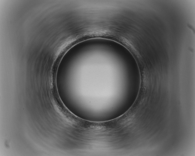 X0000099480582200805161137