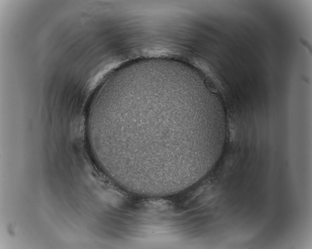 X0000099480583200805161137
