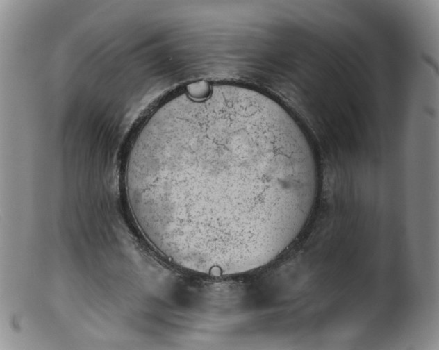 X0000099480584200805161137